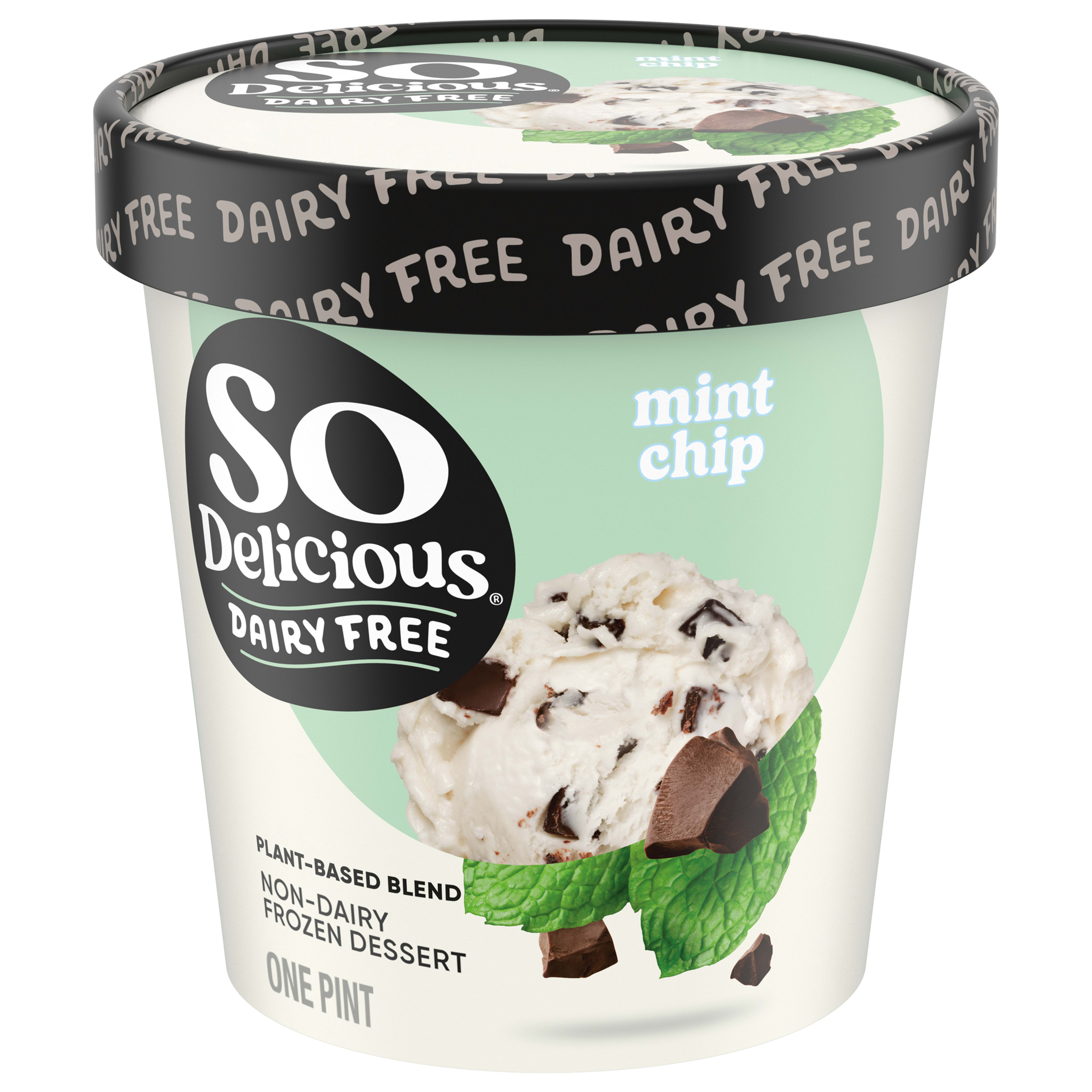 Mint Chip Coconutmilk Non-Dairy Frozen Dessert