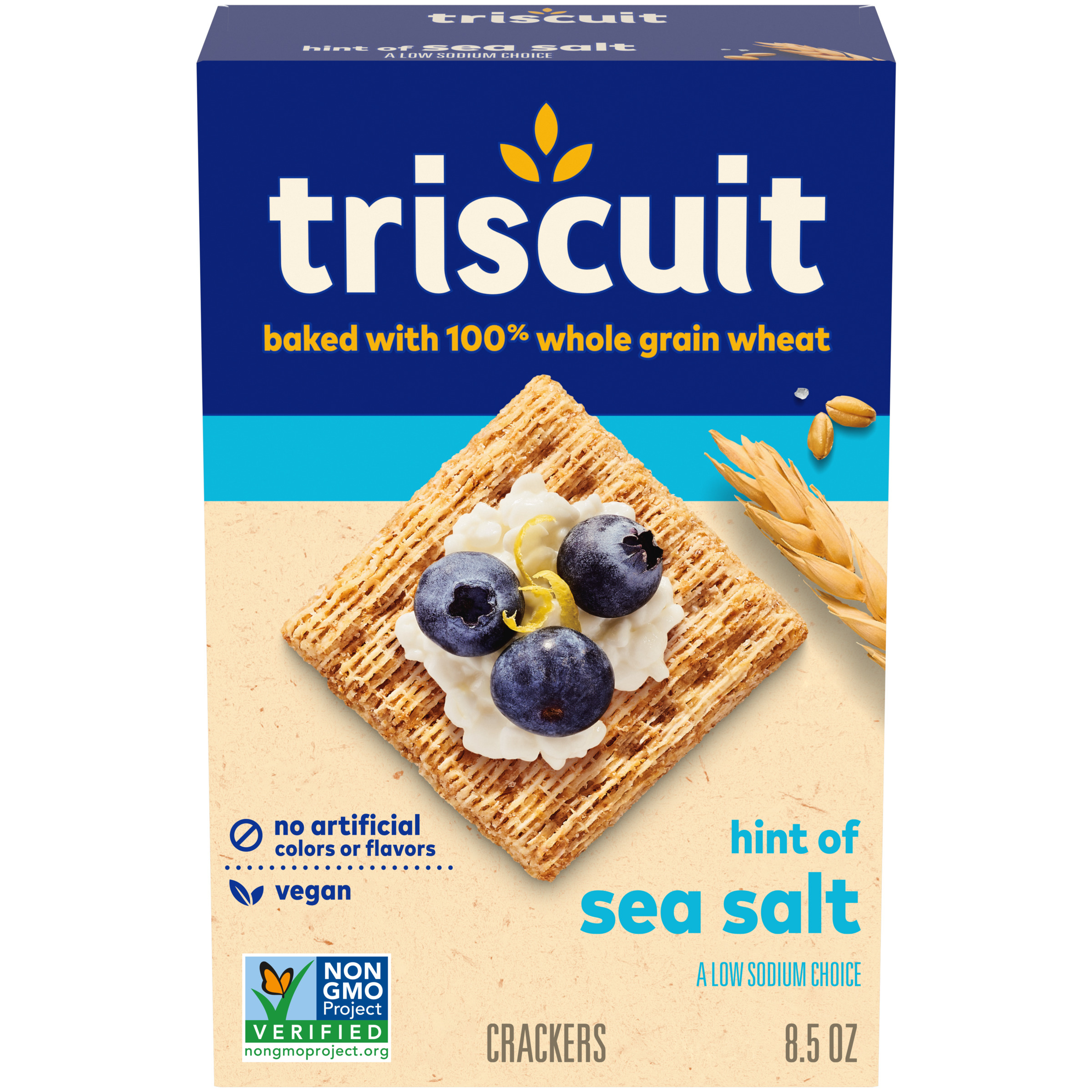 Hint of Salt Crackers
